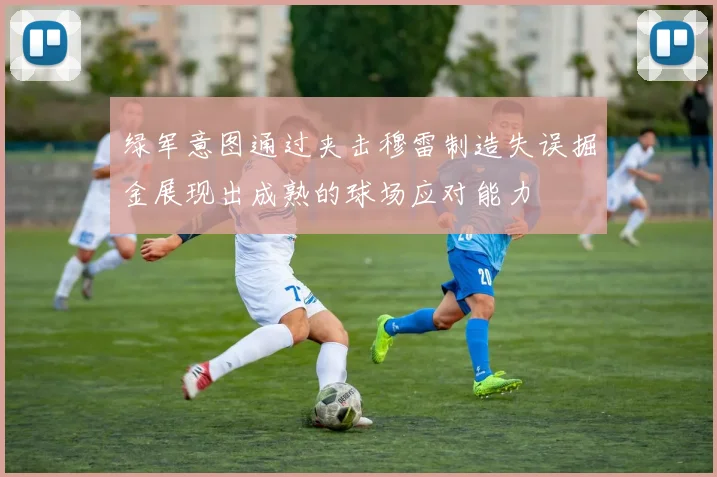 绿军意图通过夹击穆雷制造失误掘金展现出成熟的球场应对能力