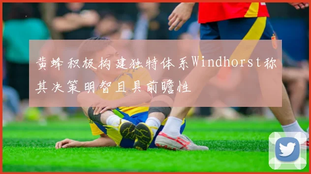 黄蜂积极构建独特体系Windhorst称其决策明智且具前瞻性